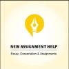 New Assignment Help UK